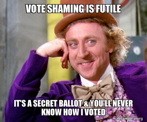 Why On-Chain Governance Needs Private Voting (And the Module We Built for It)